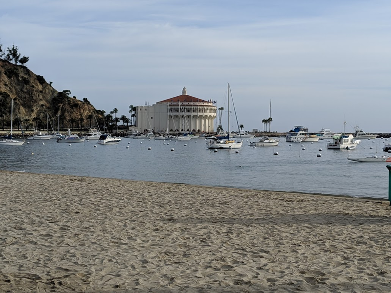 Illustration for article titled Driving on Catalina Island